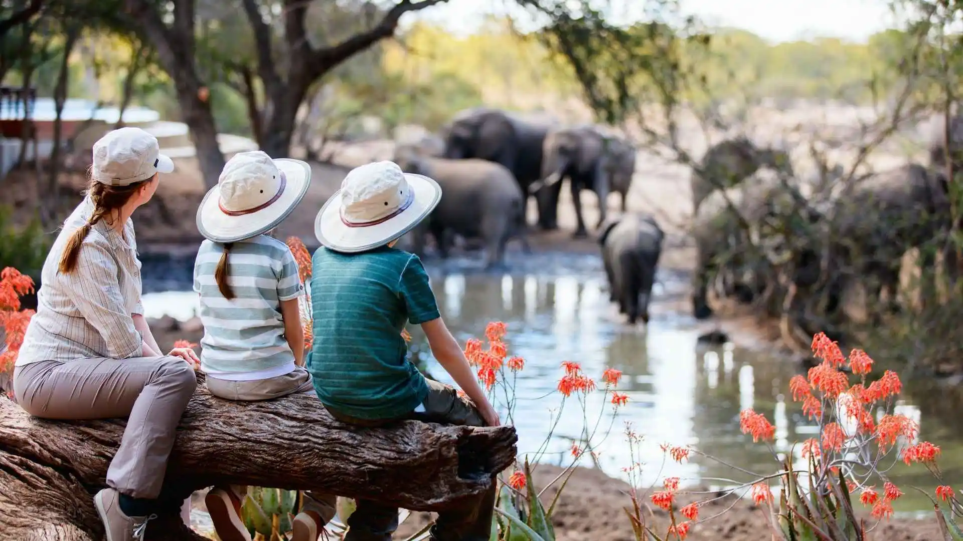 Singapore Zoo & Night Safari Adventure