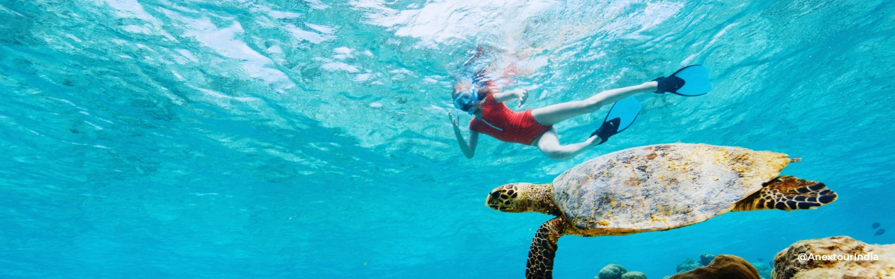  Snorkel or Dive at Blue Bay Marine Park