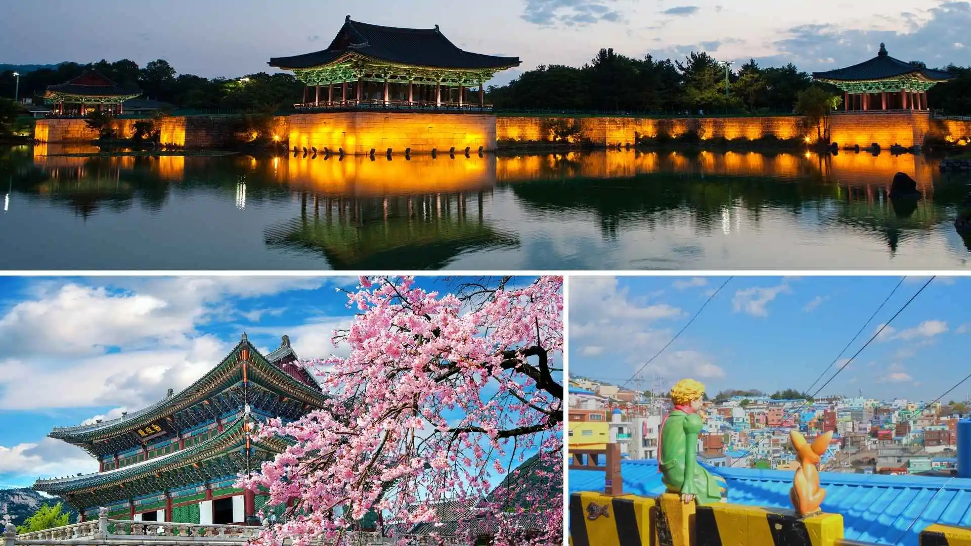 South Korea DMC