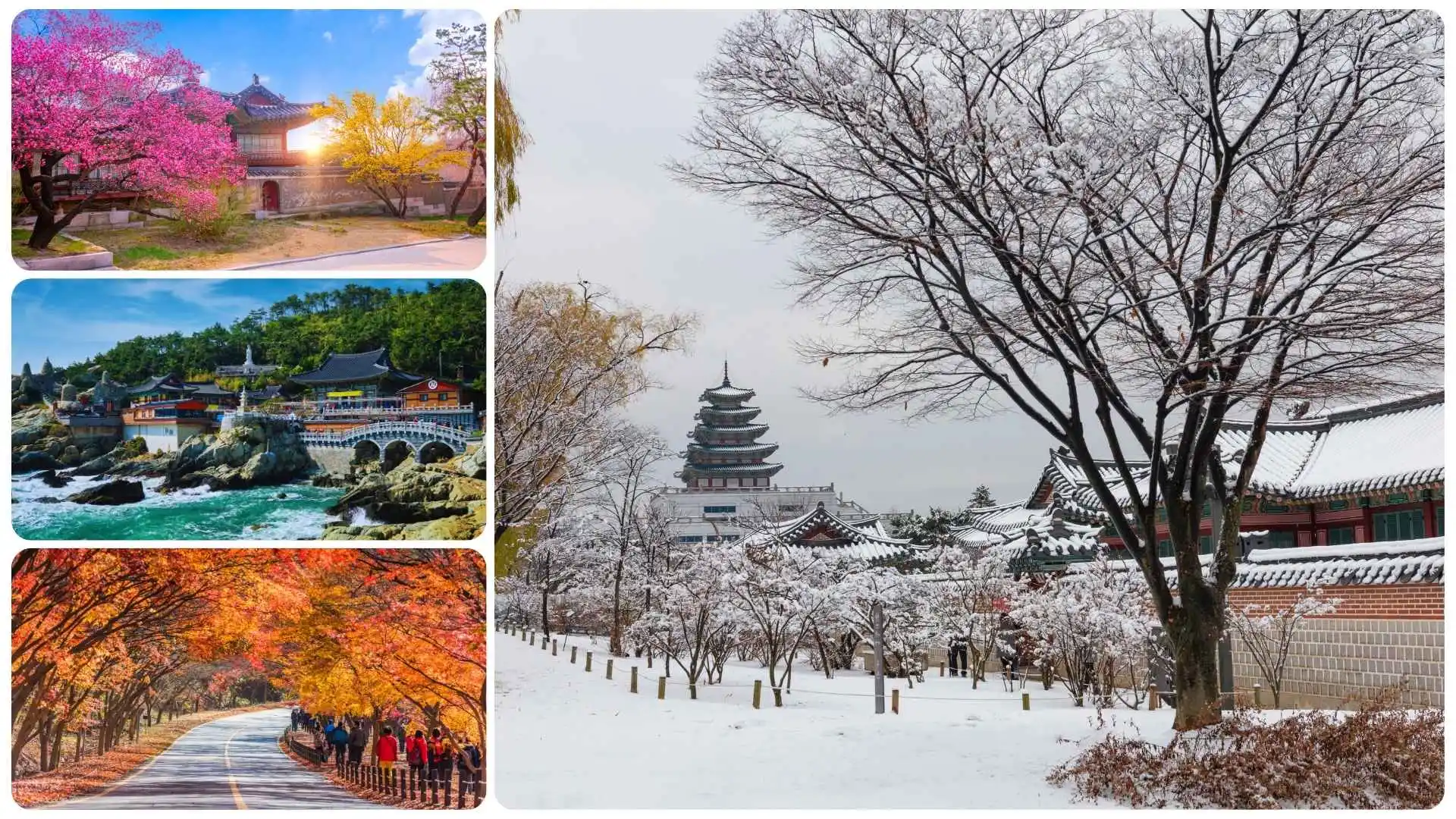 South Korea Seasons