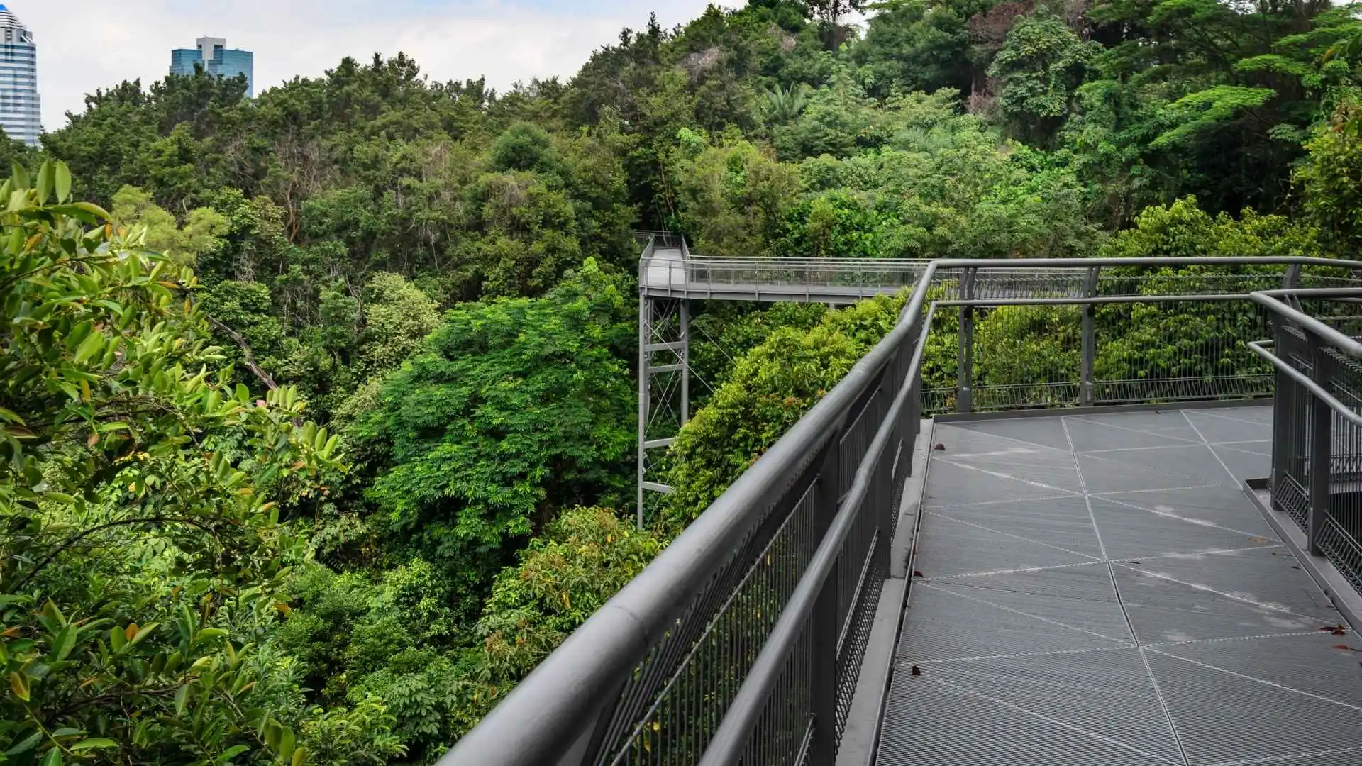 Southern Ridges