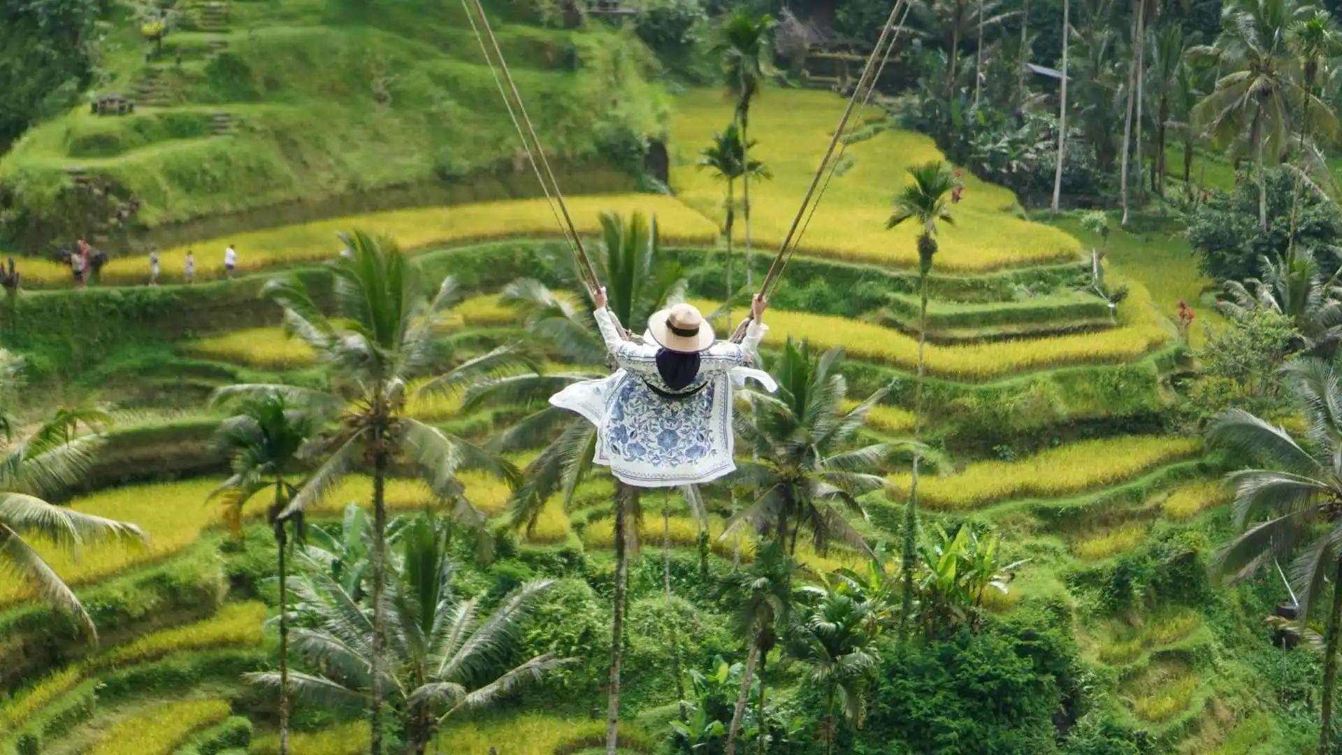Tegallalang Rice Terraces