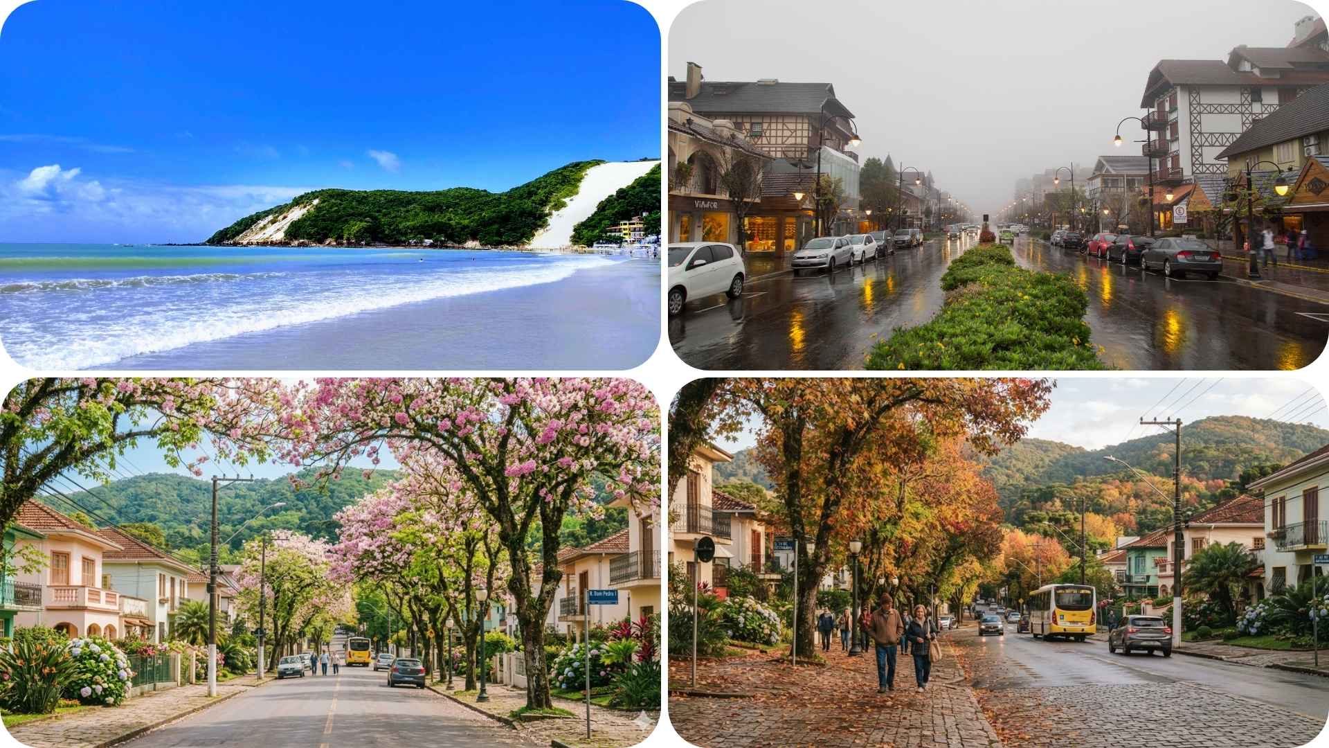 Things to Do in Brazil