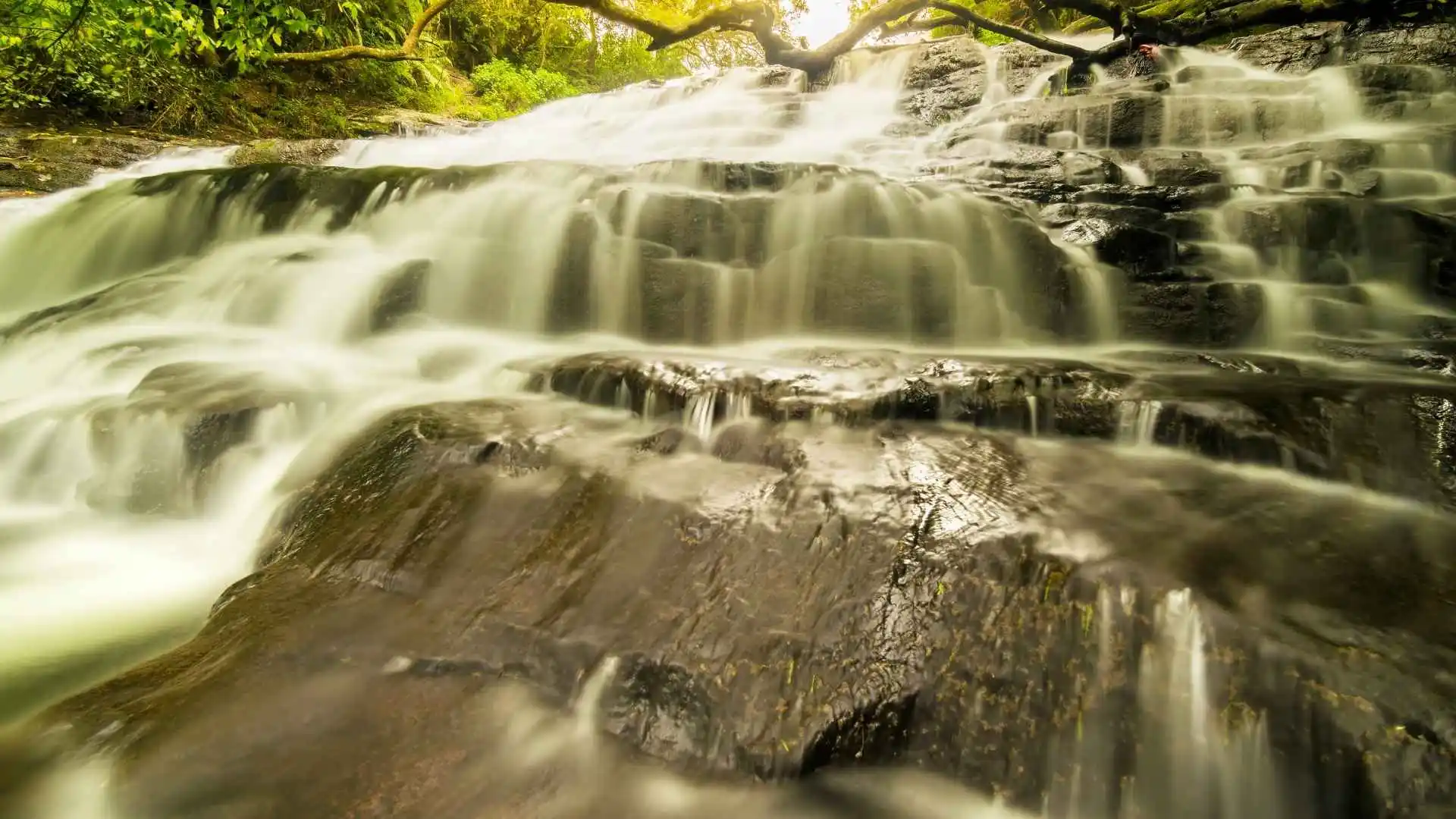 Vattakanal Waterfalls in Kodaikanal