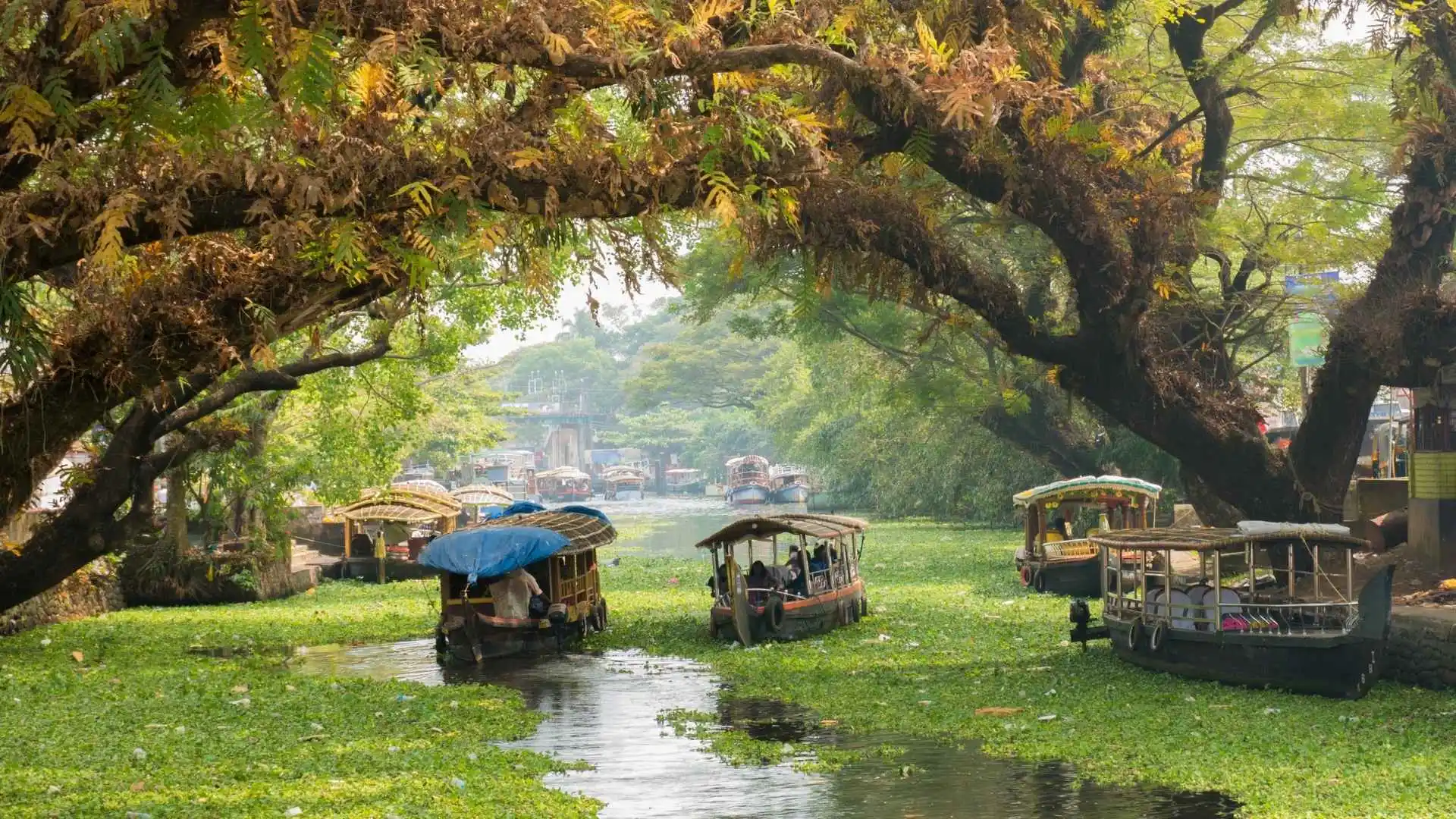 Vembanad Lake, lakes in Alappuzha, lakes in Kerala, famous lakes in India, beautiful lakes in India