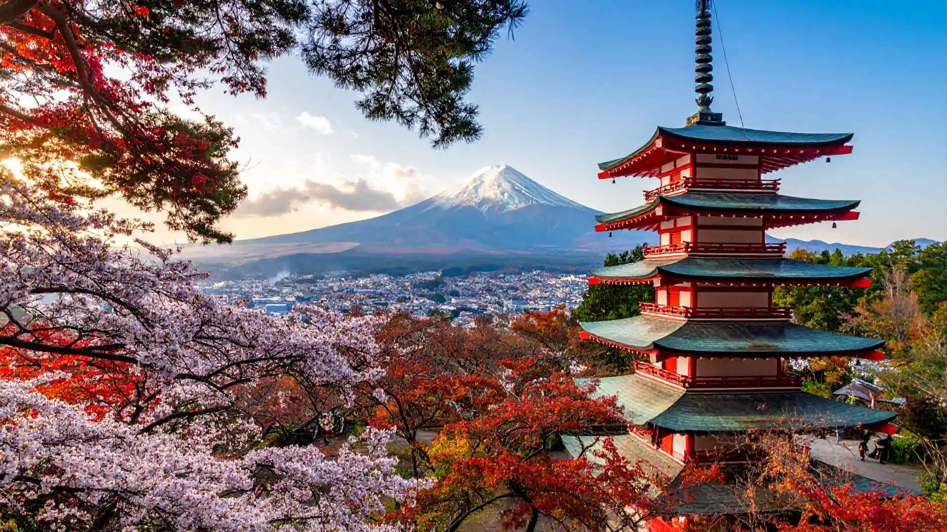 Visit Mount Fuji