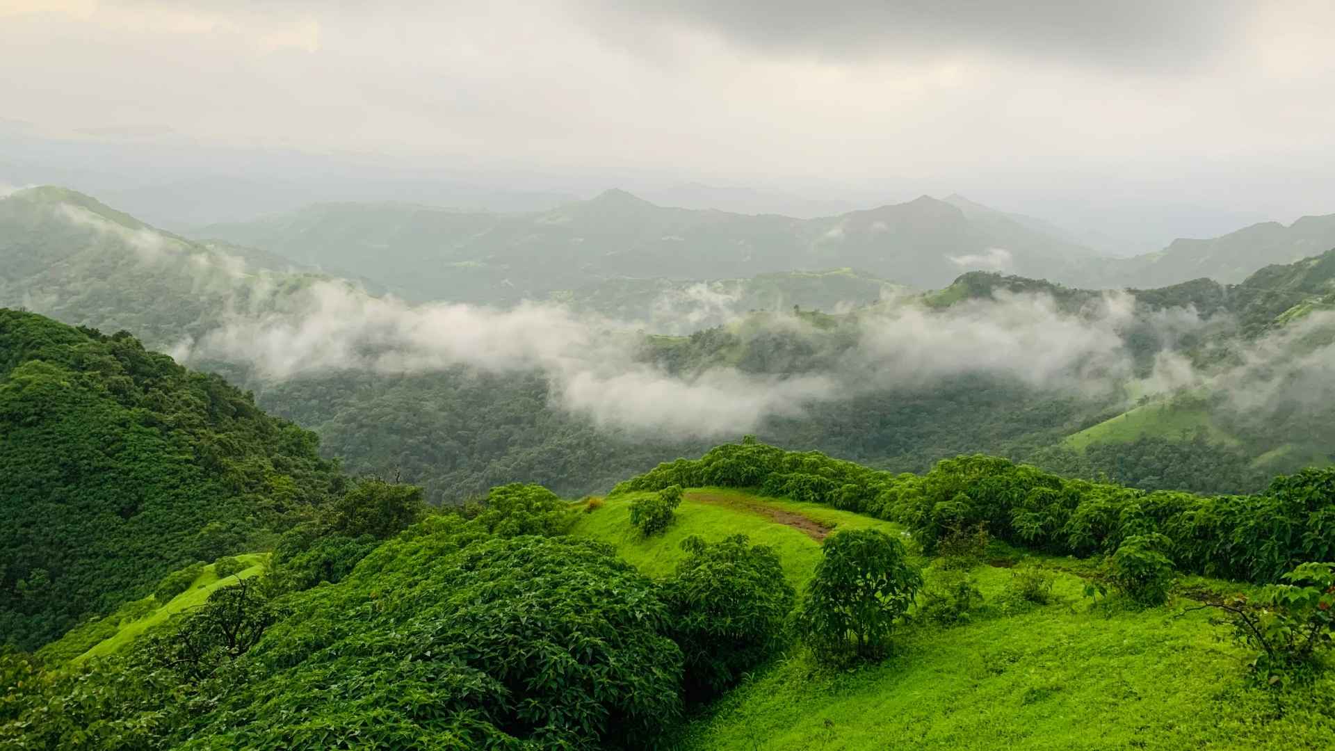Western Ghats - Maharashtra & Karnataka