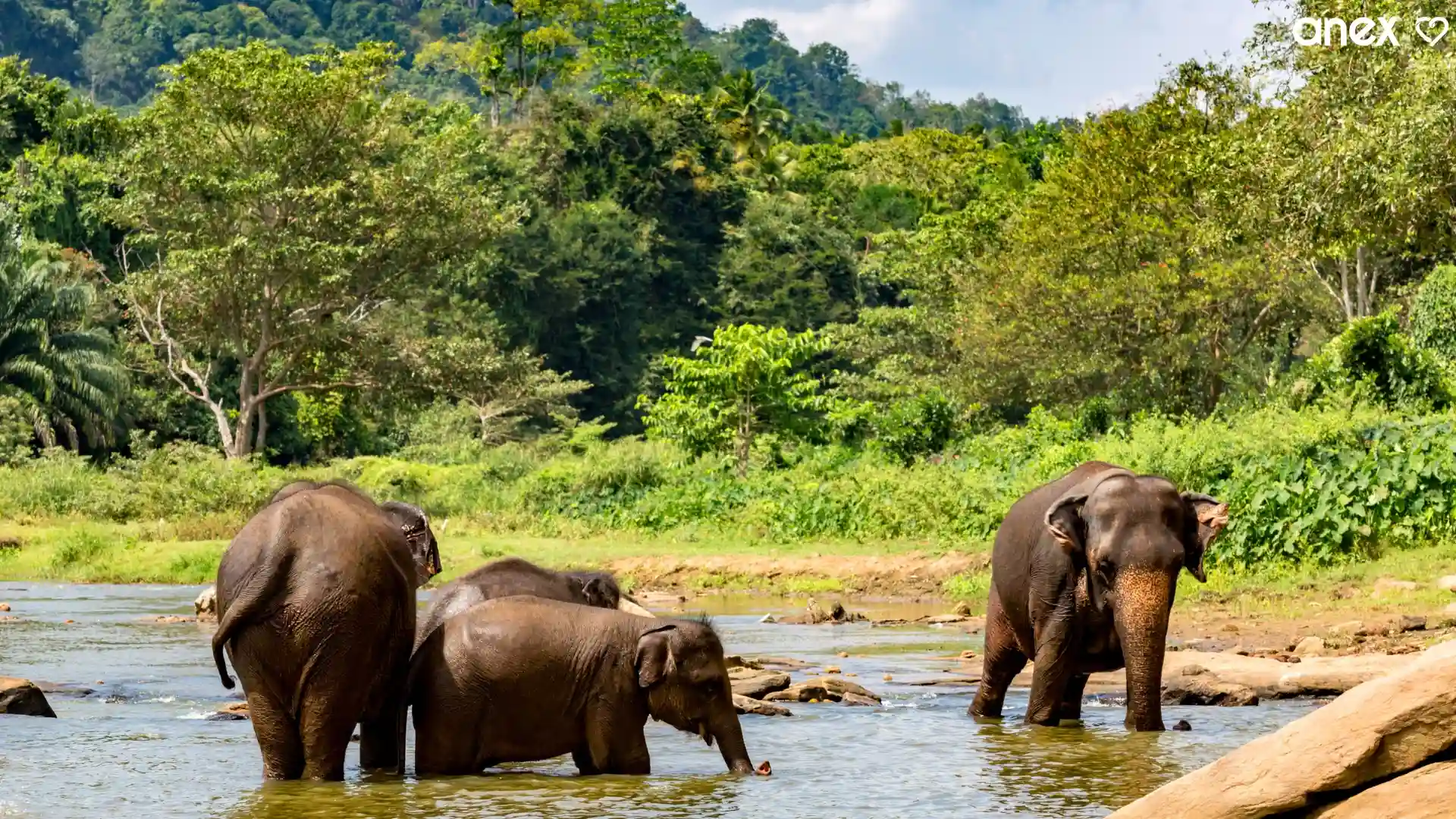Yala Sri lanka