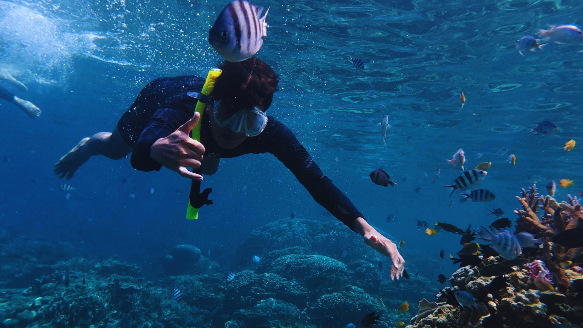things to do in maldives, activities in maldives, maldives attractions activities, best activities in Maldives