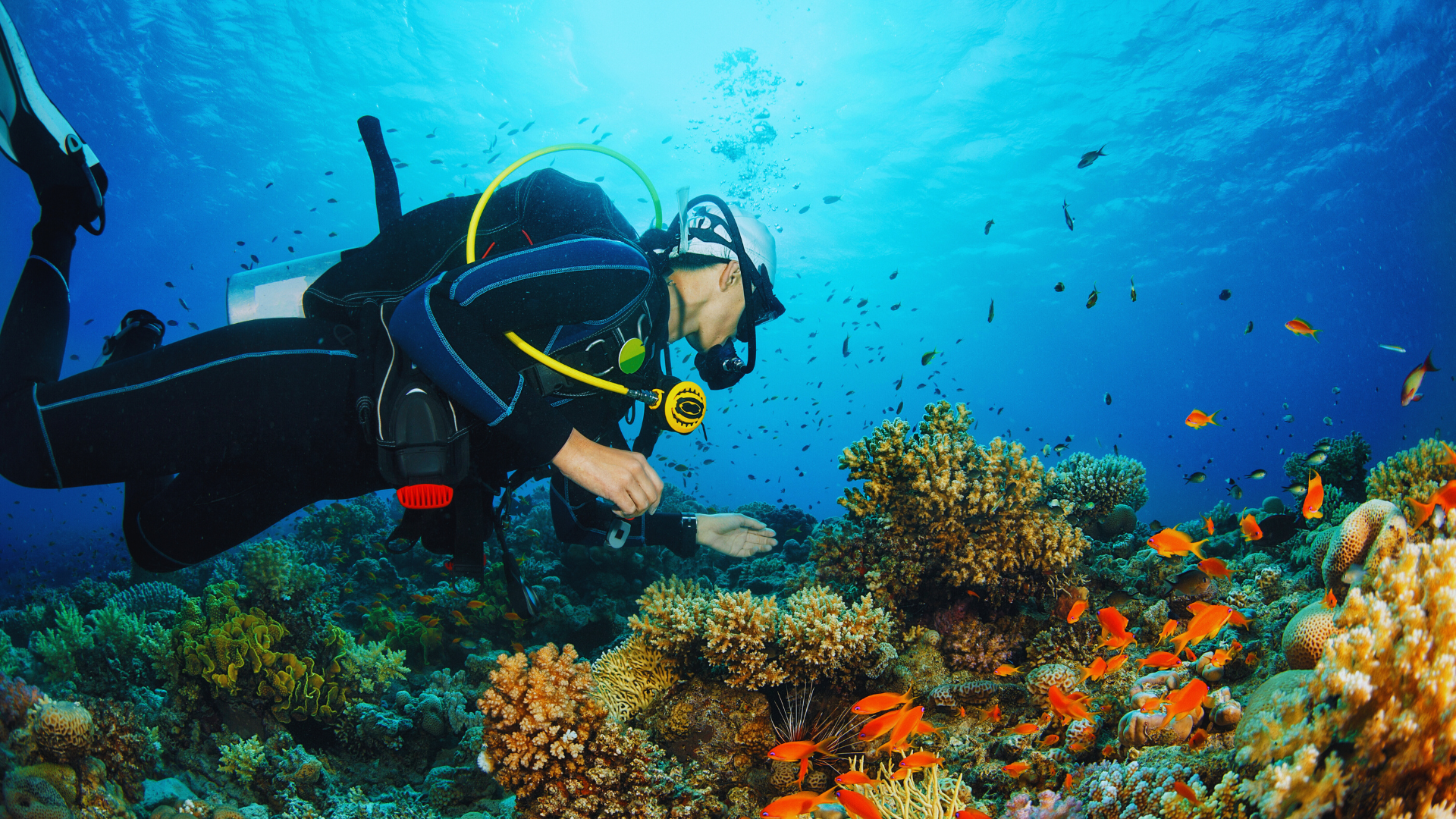 things to do in maldives, activities in maldives, maldives attractions activities, best activities in Maldives