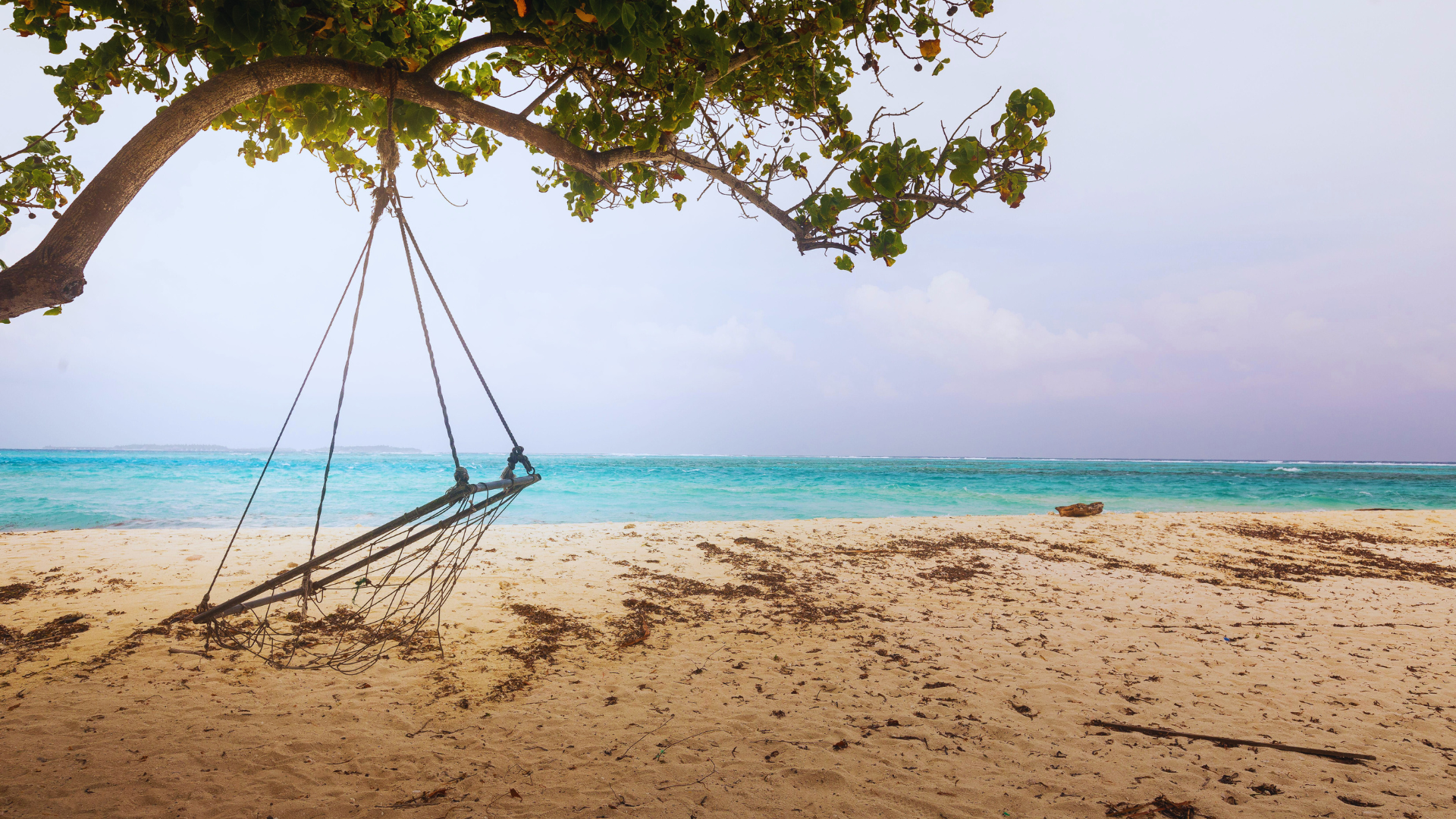 Visit a Maldivian Island